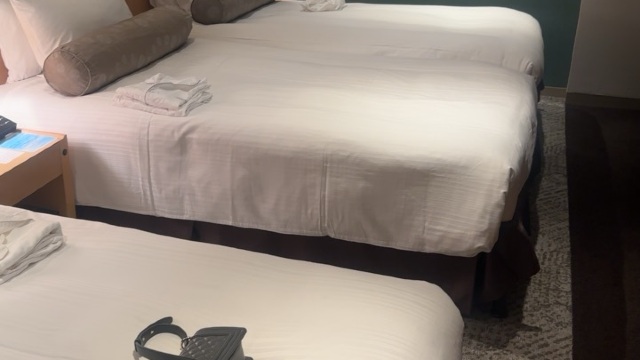 review picture