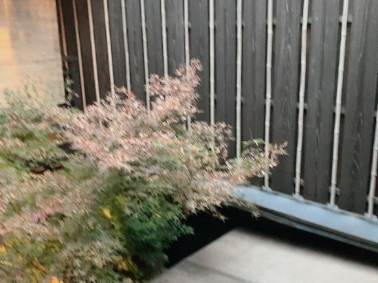 上七軒　億 クーポン