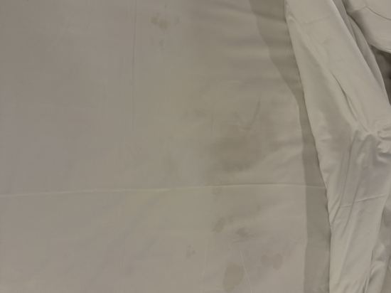 拉斯維加斯百樂宮酒店優惠