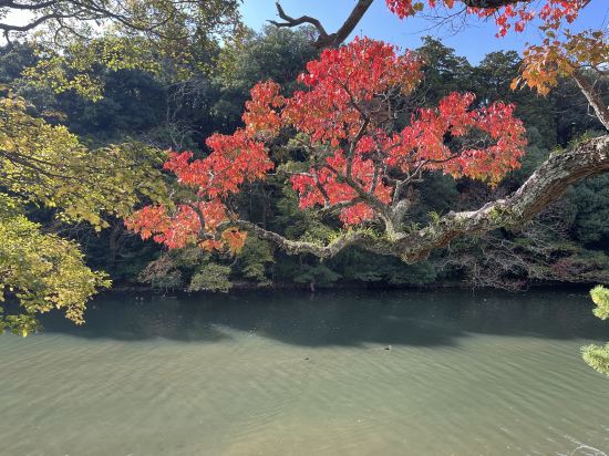 松江東急卓越大飯店優惠