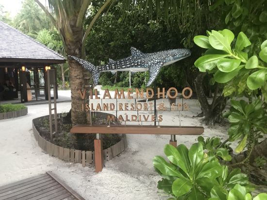 馬爾代夫呼爾胡維拉海灘椰子樹酒店優惠