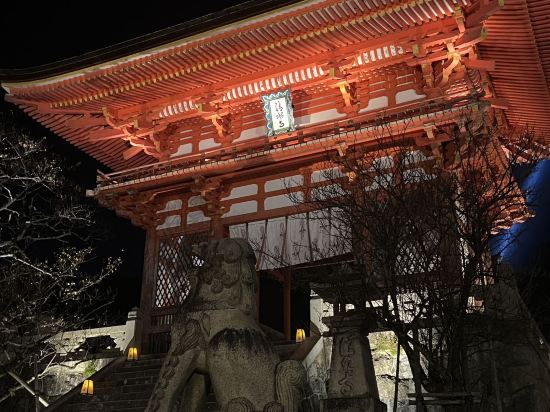 豪華カプセルホテル 安心お宿プレミアリゾート京都四条烏丸店 クーポン