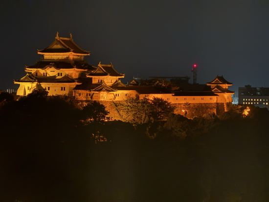 ダイワロイネットホテル和歌山 クーポン