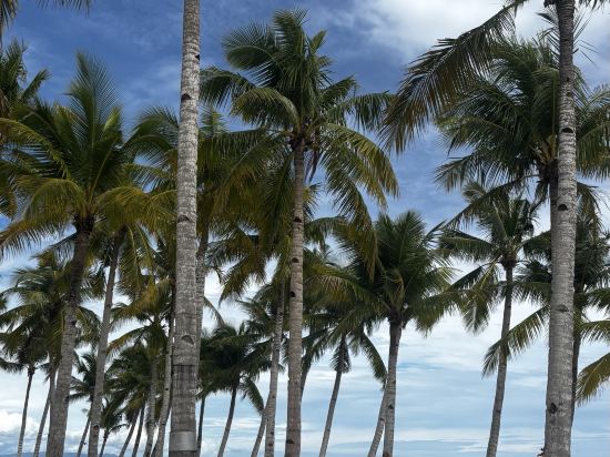 薄荷海灘俱樂部飯店優惠
