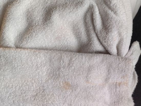 維也納萬麗酒店 - 萬豪生活酒店優惠