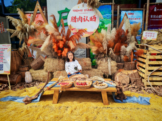 雲浮翔順象窩酒店優惠