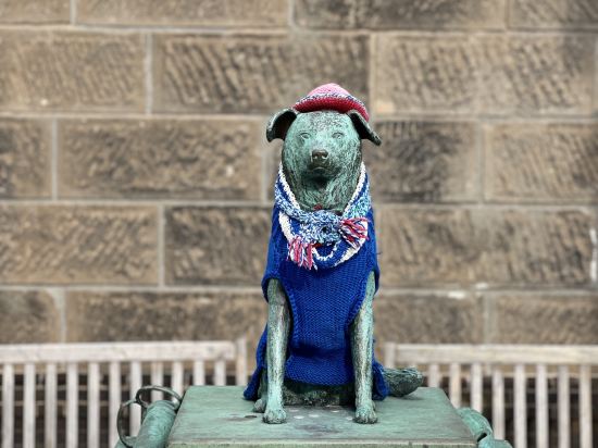 ホテル・トリフィート 小樽運河 クーポン