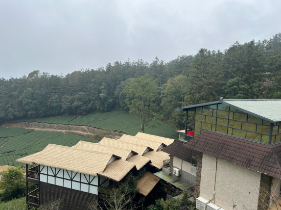 嘉義掌聲響起民宿優惠