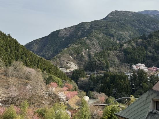 祖谷渓温泉　ホテル秘境の湯 クーポン