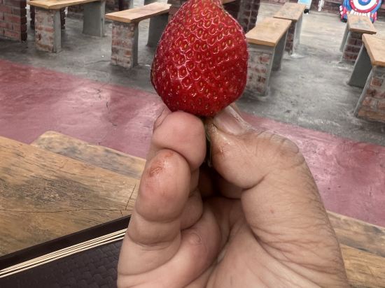 帝沙酒店優惠