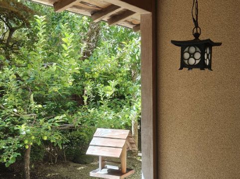 竹葉 新葉亭 クーポン