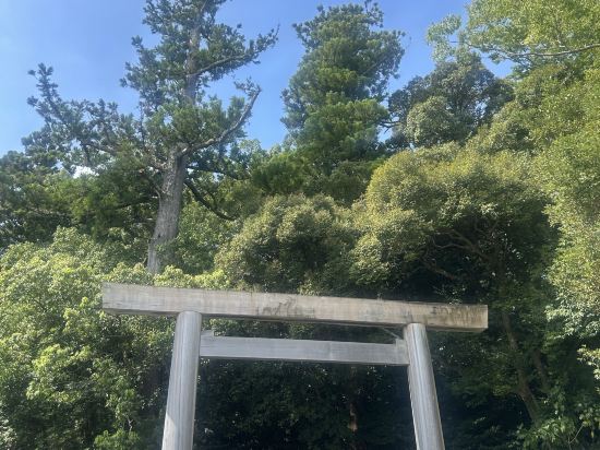 ダイワロイネットホテル名古屋新幹線口 クーポン