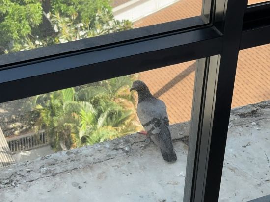 曼谷素坤逸馨樂庭8飯店優惠