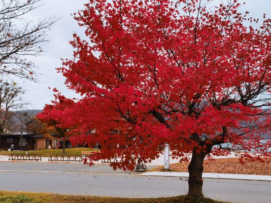 十和田莊飯店優惠