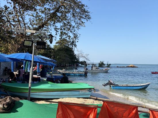 陽光飯店及公寓優惠