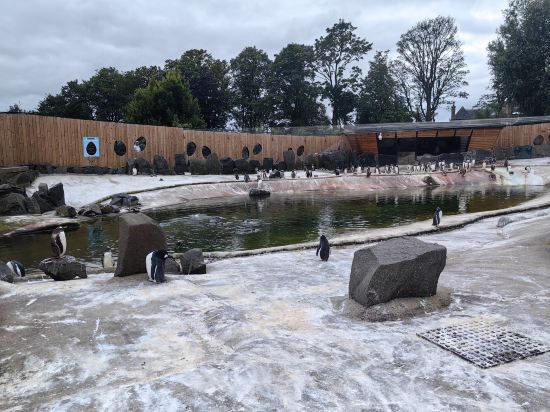 愛丁堡假日酒店 - IHG 旗下飯店優惠