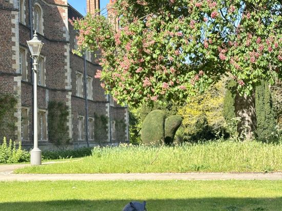 劍橋西苑酒店優惠