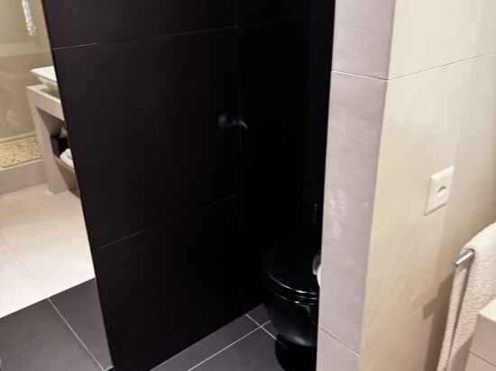 日內瓦尼維馬諾特酒店優惠