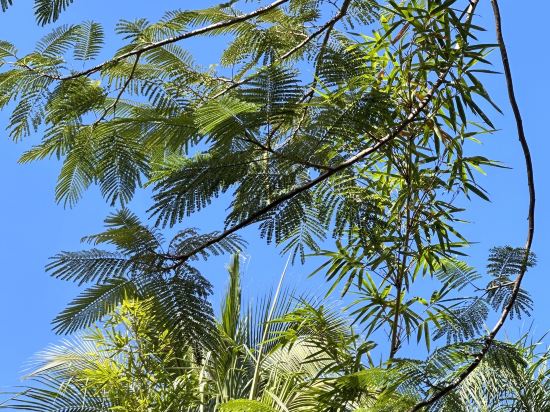 藍天國際青年旅舍（三亞大東海店）優惠