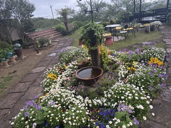 旅荘　海の蝶 クーポン