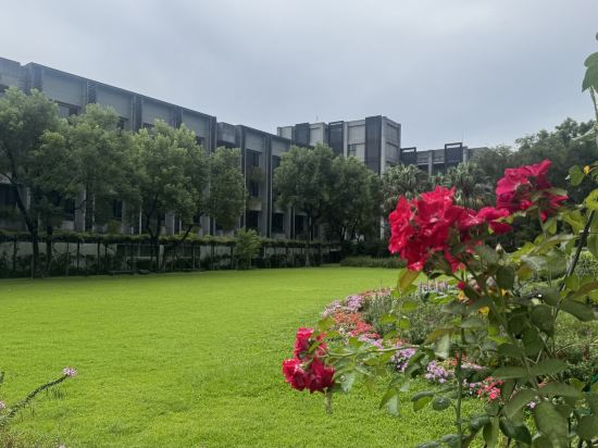 秧悦美地渡假酒店優惠