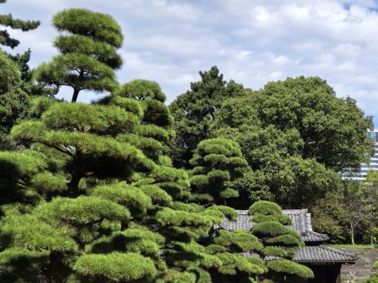 JR東日本大森METS飯店優惠