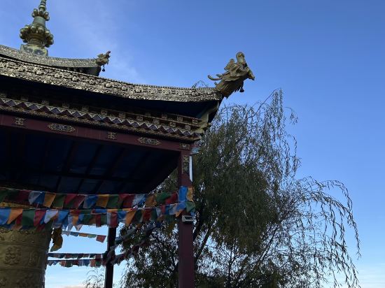 瀘沽湖青山青旅優惠