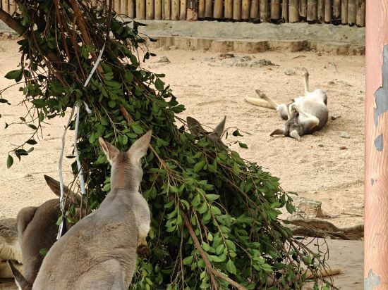 深圳奈威S酒店（西麗地鐵站店）優惠