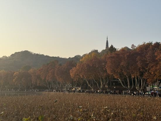 杭州維景國際大酒店優惠