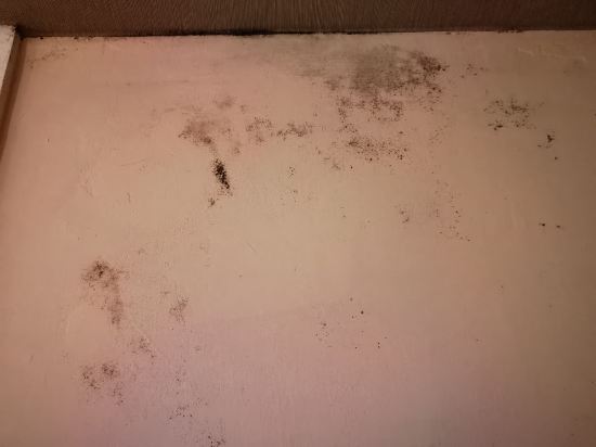 香港帝國酒店優惠