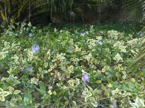 大理實力希爾頓酒店優惠