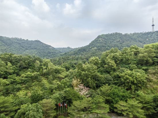 鶴山方圓福朋喜來登酒店優惠