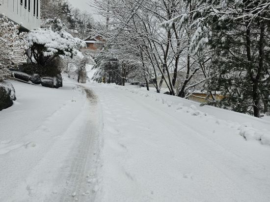 Yangpyeong Koala Kids Pool Villa 쿠폰