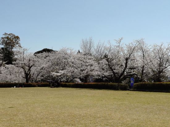 ホテル青島サンクマール クーポン