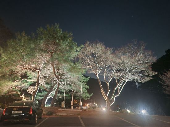 청주 나무호텔 쿠폰