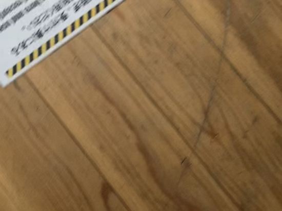 江の島ゲストハウス134 クーポン