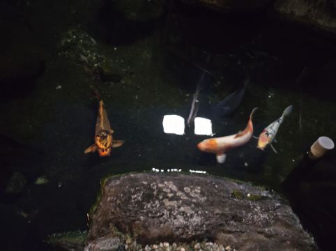 あたみ石亭 クーポン