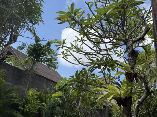 塔曼達摩旺沙套房飯店優惠