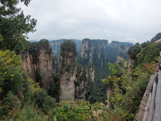 蘭亭·雅居飯店（張家界國家森林公園標誌門店）優惠