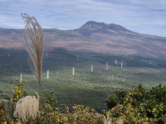 欣欣飯店天地淵優惠