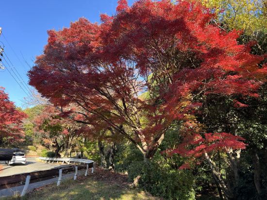 台北花園大酒店優惠