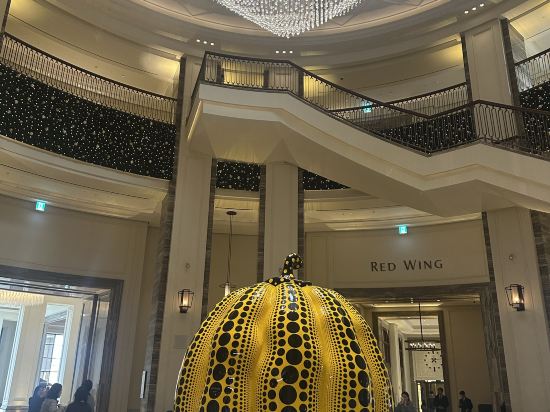 파라다이스시티 쿠폰