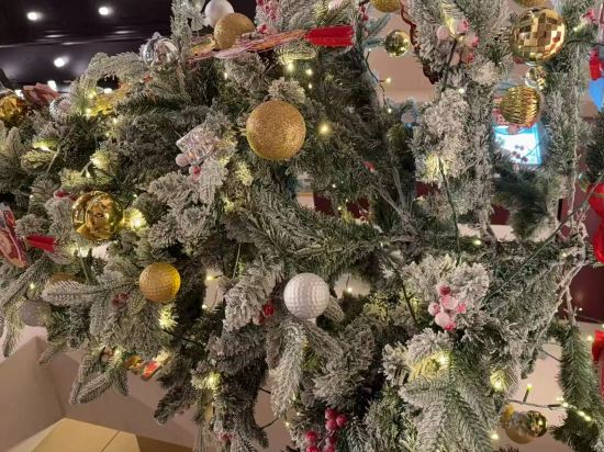 深圳福田口岸希爾頓歡朋飯店優惠