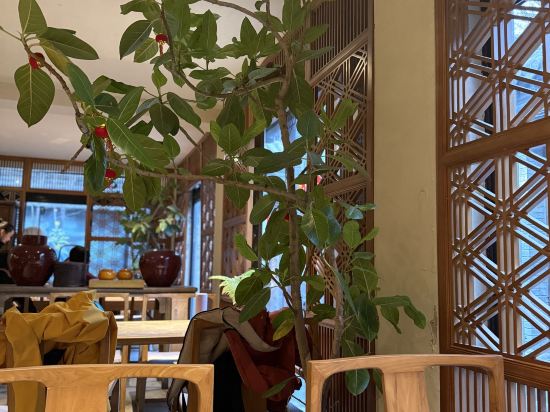 北京樂在南鑼精品飯店優惠