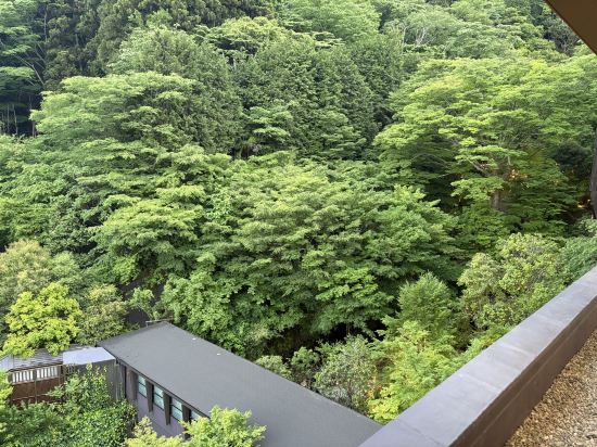 箱根小涌園　天悠 クーポン