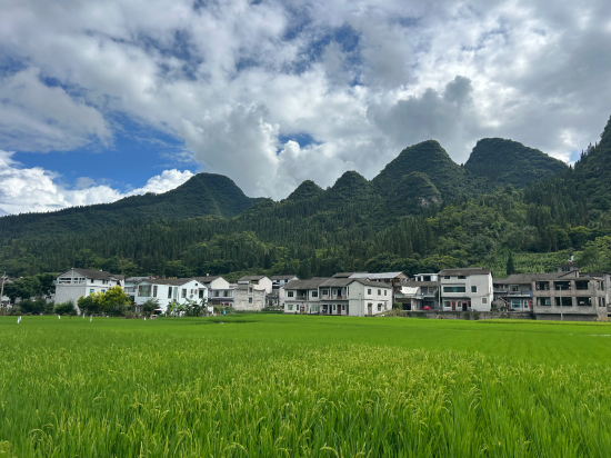 興義莫莫民宿優惠