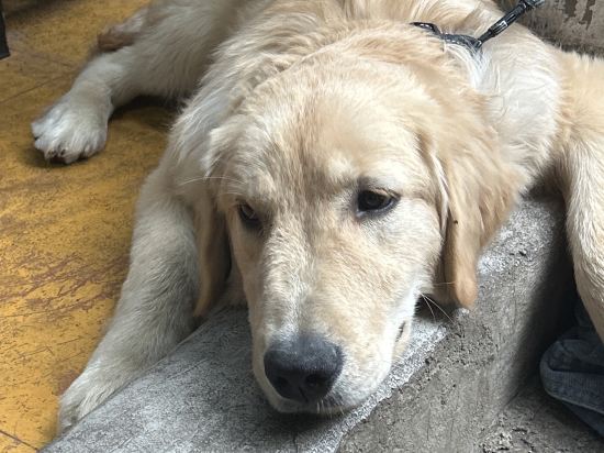 第三極國際青旅（麗江古城木府店）優惠