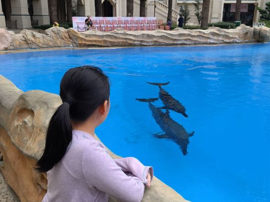 長隆橫琴灣酒店（珠海長隆旗艦店）優惠