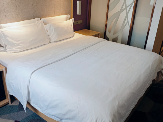 麗楓酒店（汕頭高鐵站紫雲心語店）優惠