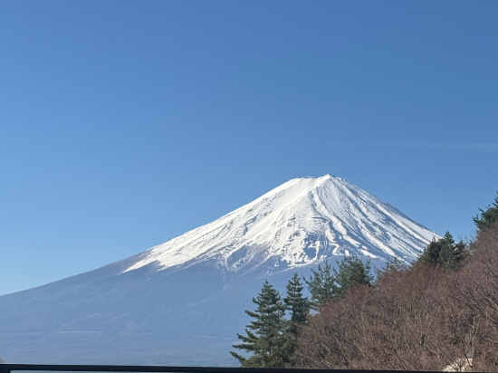 ふふ 河口湖 クーポン